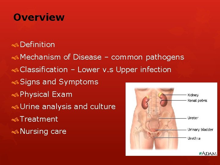 Overview Definition Mechanism of Disease – common pathogens Classification – Lower v. s Upper