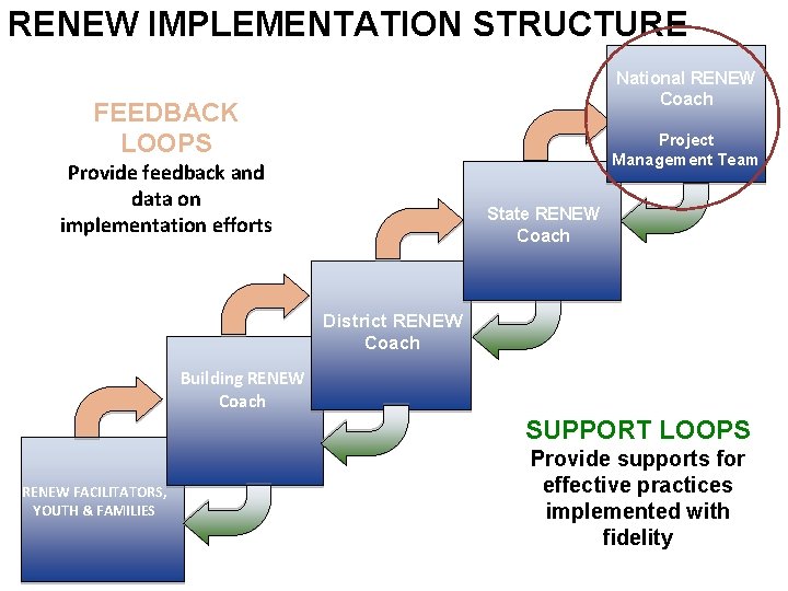 RENEW IMPLEMENTATION STRUCTURE National RENEW Coach FEEDBACK LOOPS Project Management Team Provide feedback and