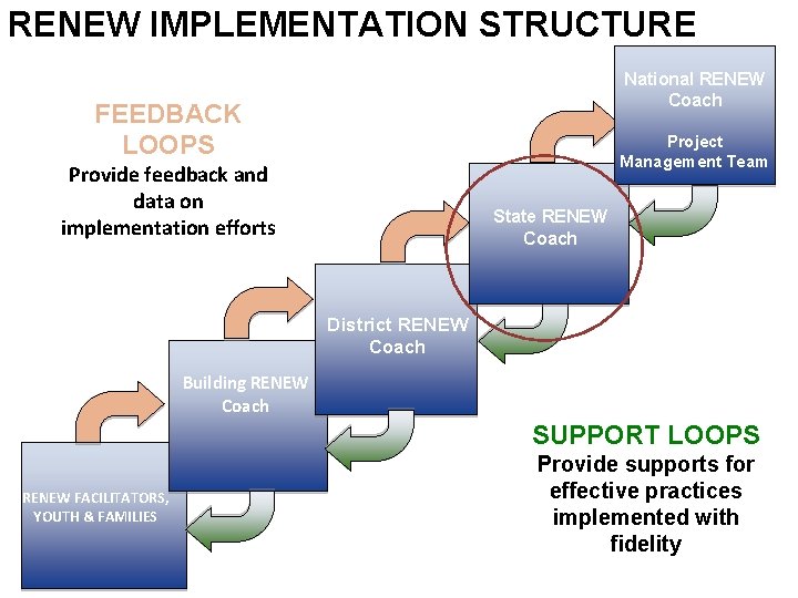 RENEW IMPLEMENTATION STRUCTURE National RENEW Coach FEEDBACK LOOPS Project Management Team Provide feedback and