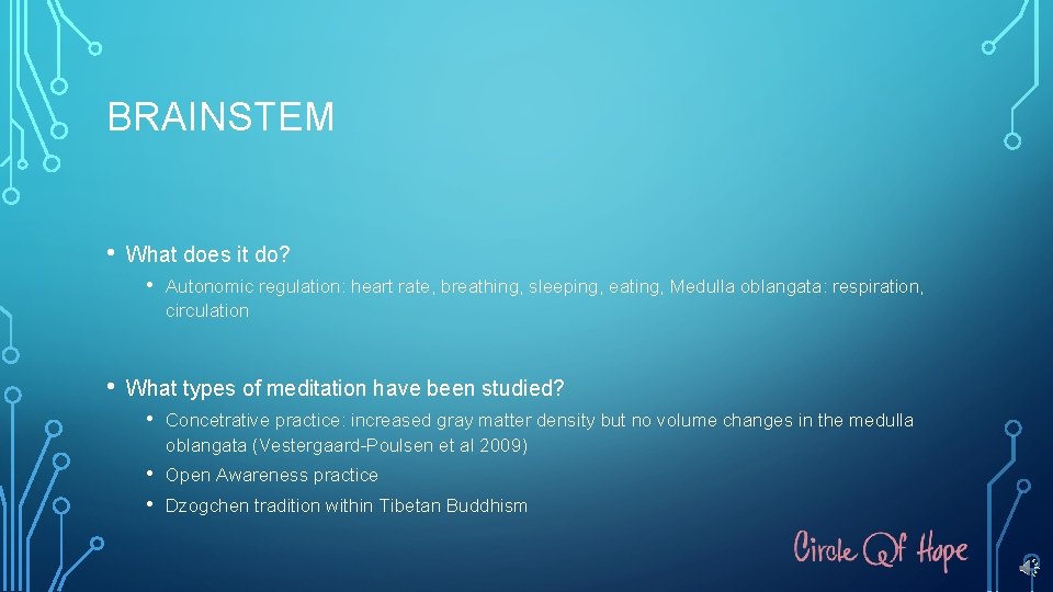 BRAINSTEM • What does it do? • • Autonomic regulation: heart rate, breathing, sleeping,