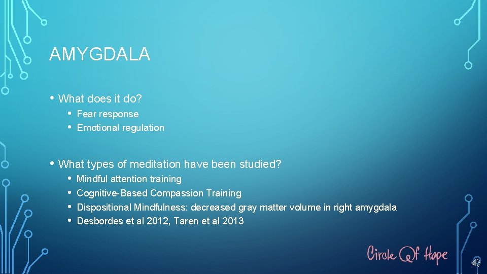 AMYGDALA • What does it do? • • Fear response Emotional regulation • What
