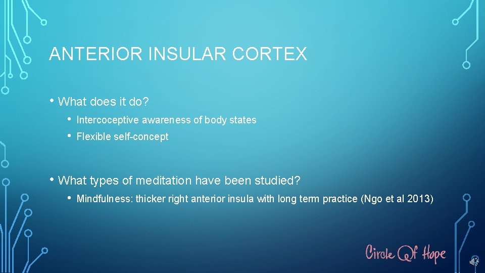 ANTERIOR INSULAR CORTEX • What does it do? • • Intercoceptive awareness of body