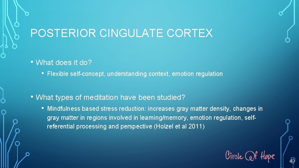POSTERIOR CINGULATE CORTEX • What does it do? • Flexible self-concept, understanding context, emotion