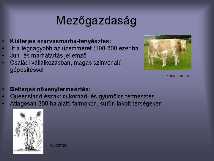 Mezőgazdaság • • Külterjes szarvasmarha-tenyésztés: Itt a legnagyobb az üzemméret (100 -600 ezer ha