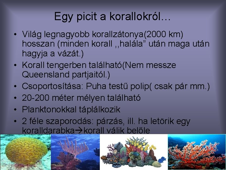 Egy picit a korallokról… • Világ legnagyobb korallzátonya(2000 km) hosszan (minden korall , ,