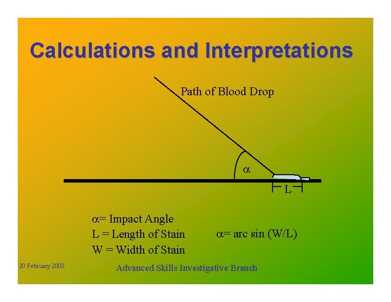 Calculations and Interpretations Path of Blood Drop a L a= Impact Angle L =