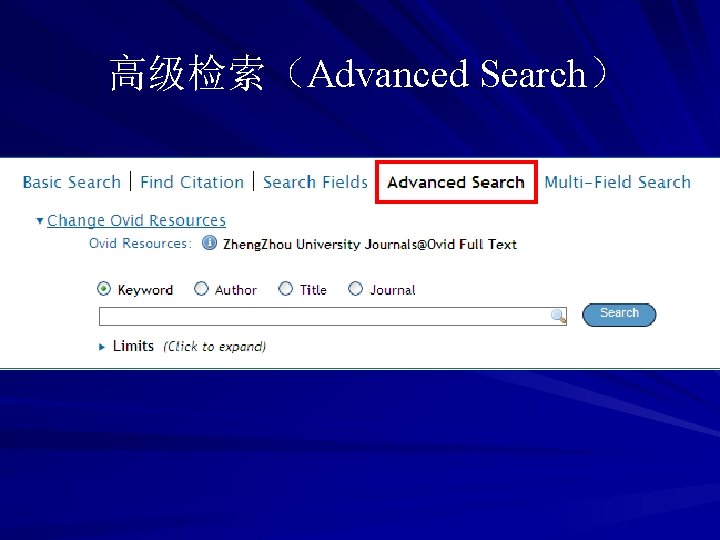 高级检索（Advanced Search） 