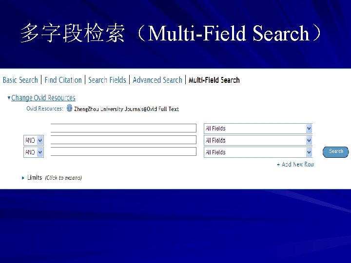 多字段检索（Multi-Field Search） 