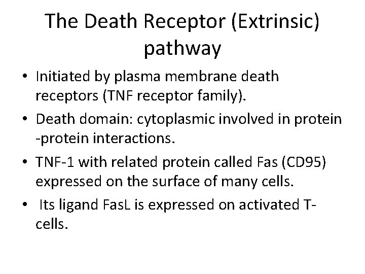 The Death Receptor (Extrinsic) pathway • Initiated by plasma membrane death receptors (TNF receptor