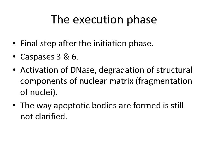 The execution phase • Final step after the initiation phase. • Caspases 3 &