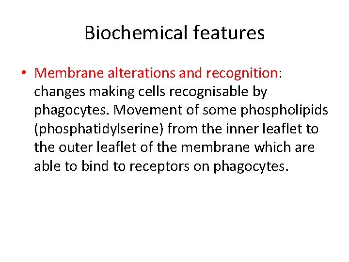 Biochemical features • Membrane alterations and recognition: changes making cells recognisable by phagocytes. Movement