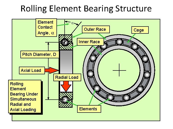 Rolling Element Bearing Structure Element Contact Angle, a a Outer Race Inner Race Pitch