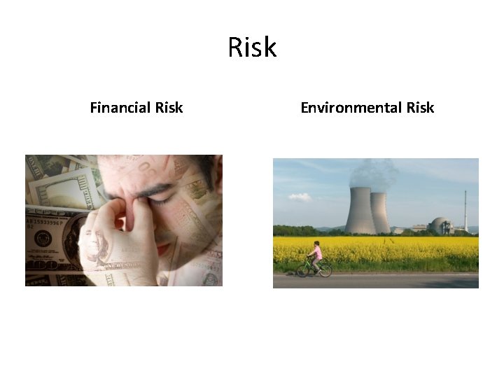 Risk Financial Risk Environmental Risk 
