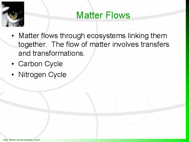 Matter Flows • Matter flows through ecosystems linking them together. The flow of matter