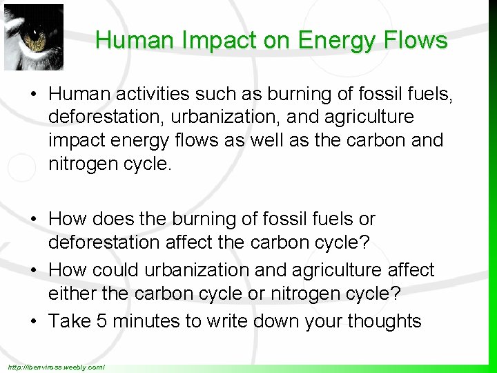 Human Impact on Energy Flows • Human activities such as burning of fossil fuels,