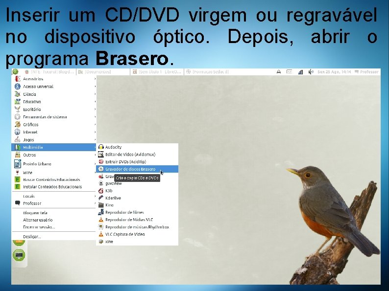 Inserir um CD/DVD virgem ou regravável no dispositivo óptico. Depois, abrir o programa Brasero.