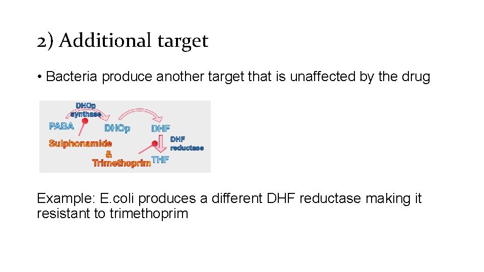 2) Additional target • Bacteria produce another target that is unaffected by the drug