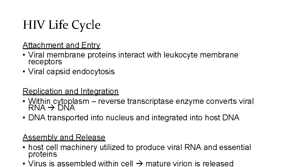 HIV Life Cycle Attachment and Entry • Viral membrane proteins interact with leukocyte membrane