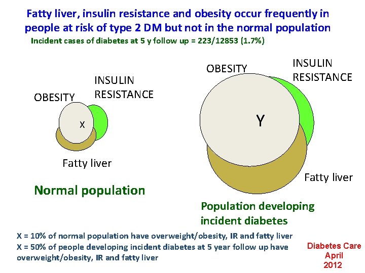 Fatty liver, insulin resistance and obesity occur frequently in people at risk of type