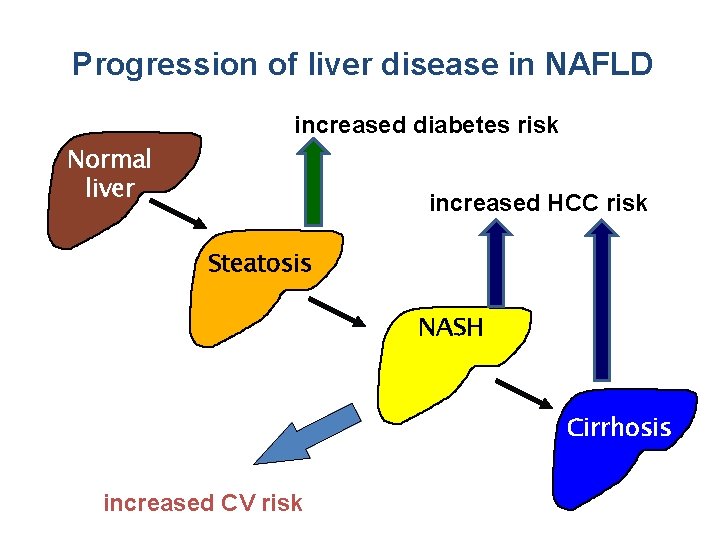Progression of liver disease in NAFLD increased diabetes risk Normal liver increased HCC risk