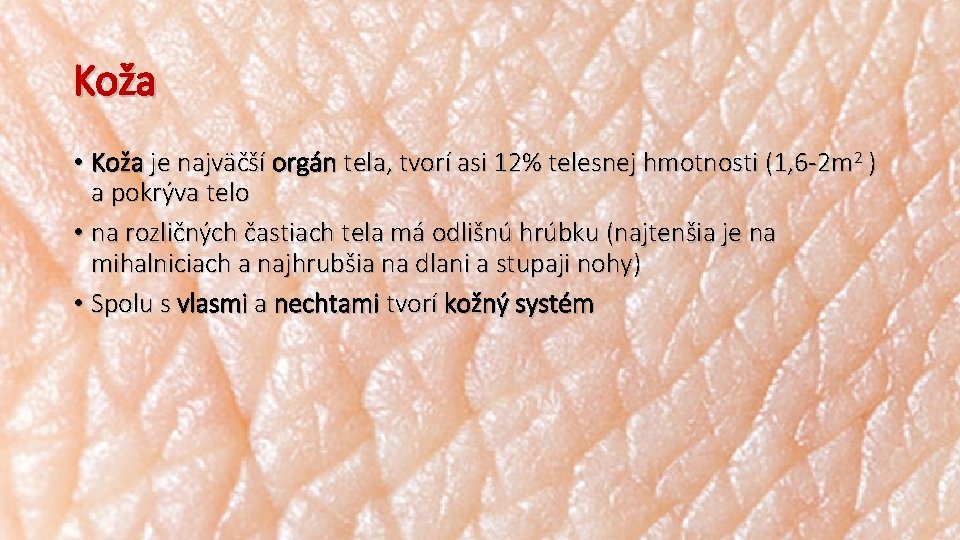 Koža • Koža je najväčší orgán tela, tvorí asi 12% telesnej hmotnosti (1, 6