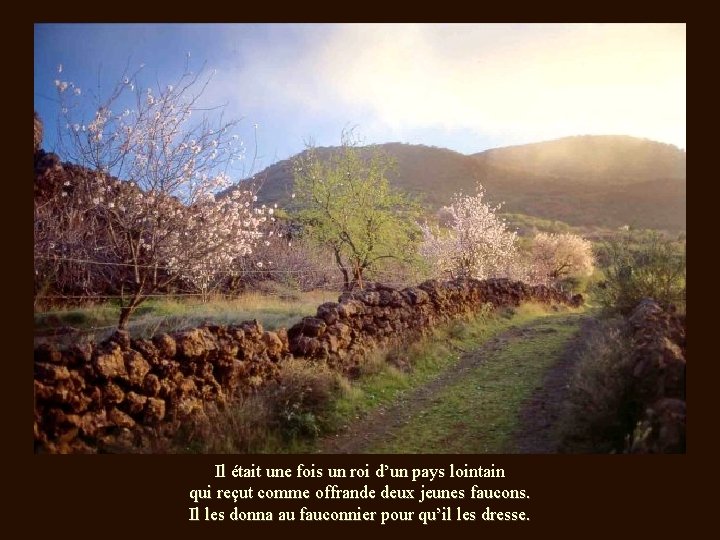 Il était une fois un roi d’un pays lointain qui reçut comme offrande deux