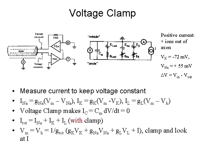 Voltage Clamp Positive current: + ions out of axon VK = -72 m. V,