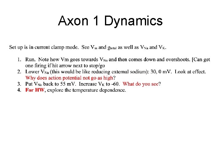 Axon 1 Dynamics 