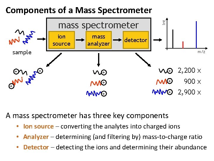 mass spectrometer ion source mass analyzer Int Components of a Mass Spectrometer detector sample