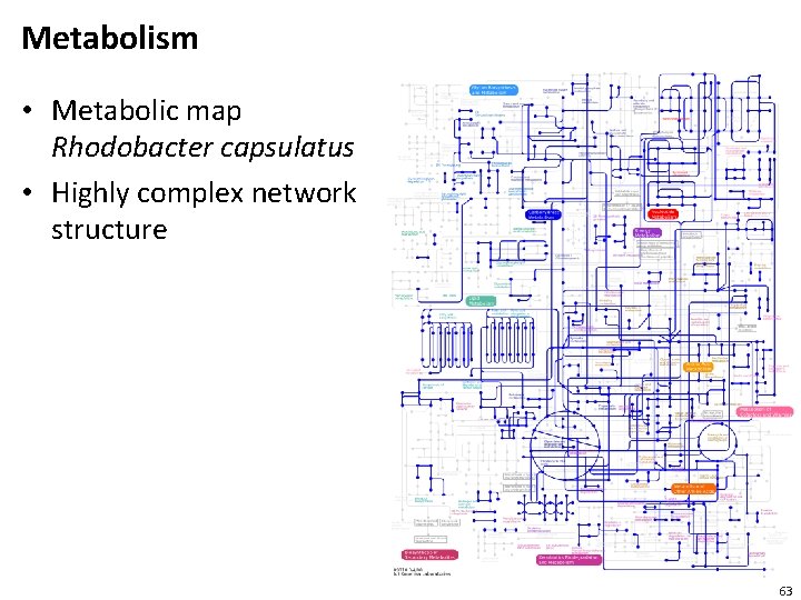 Metabolism • Metabolic map Rhodobacter capsulatus • Highly complex network structure 63 