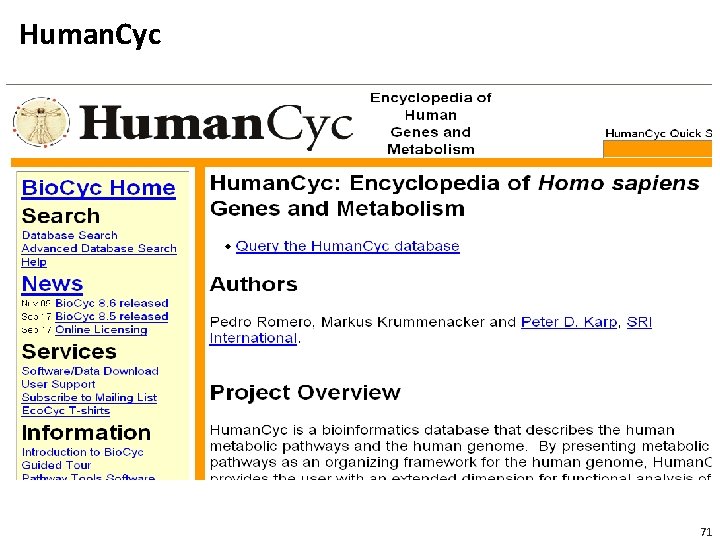 Human. Cyc 71 