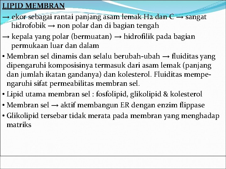 LIPID MEMBRAN → ekor sebagai rantai panjang asam lemak H 2 dan C →