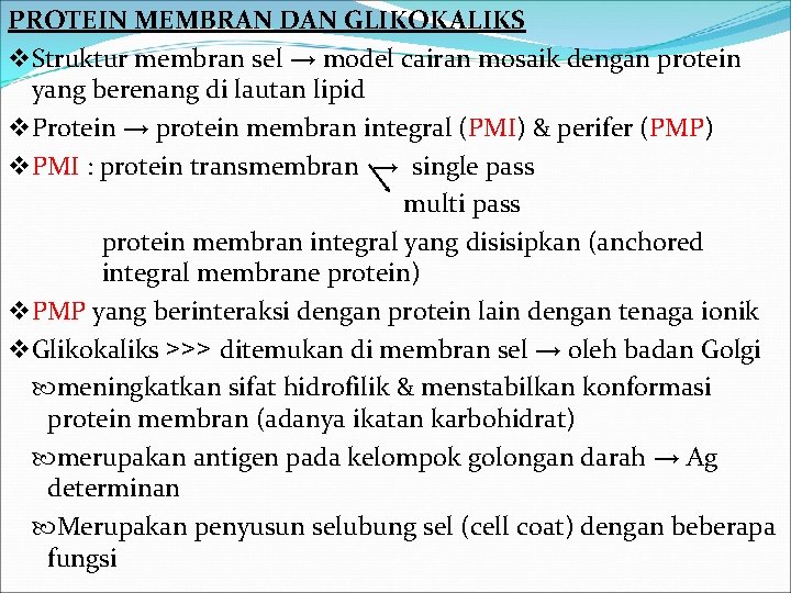 PROTEIN MEMBRAN DAN GLIKOKALIKS v Struktur membran sel → model cairan mosaik dengan protein