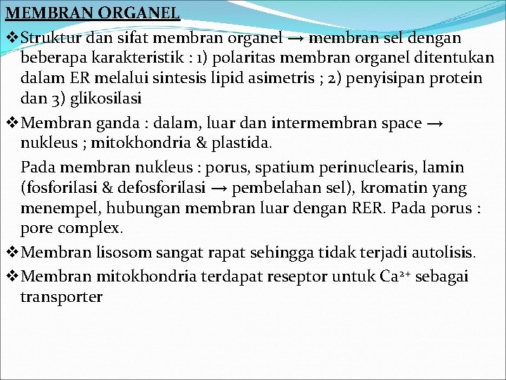 MEMBRAN ORGANEL v Struktur dan sifat membran organel → membran sel dengan beberapa karakteristik