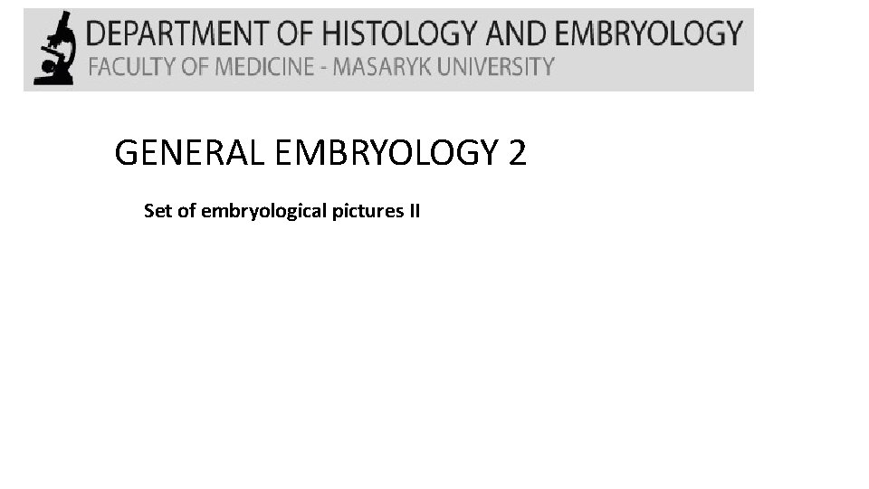 GENERAL EMBRYOLOGY 2 Set of embryological pictures II 