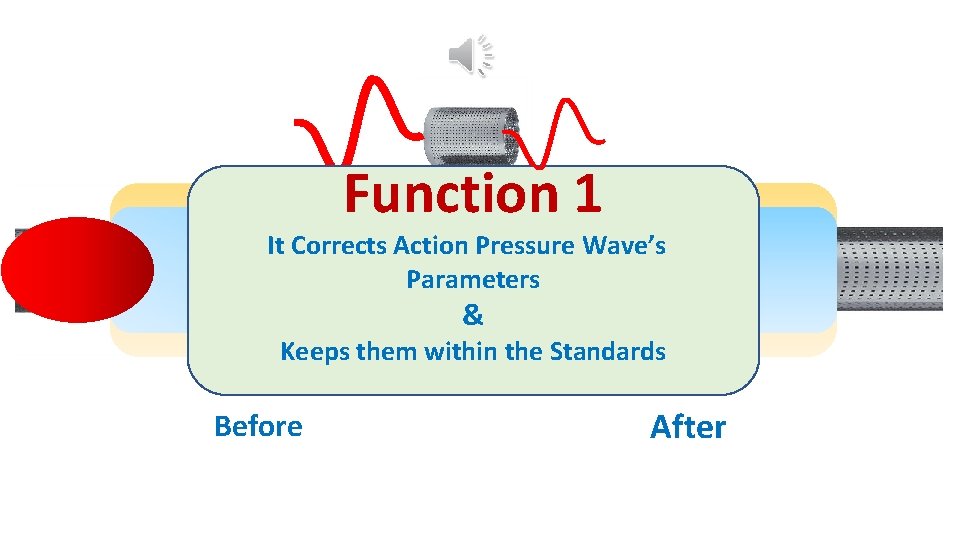 Function 1 It Corrects Action Pressure Wave’s Parameters & Keeps them within the Standards