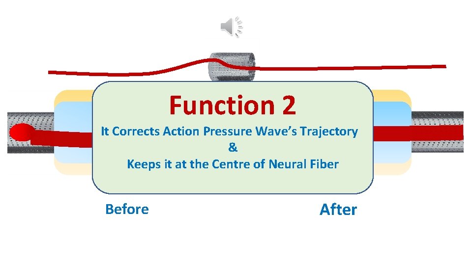 Function 2 It Corrects Action Pressure Wave’s Trajectory & Keeps it at the Centre