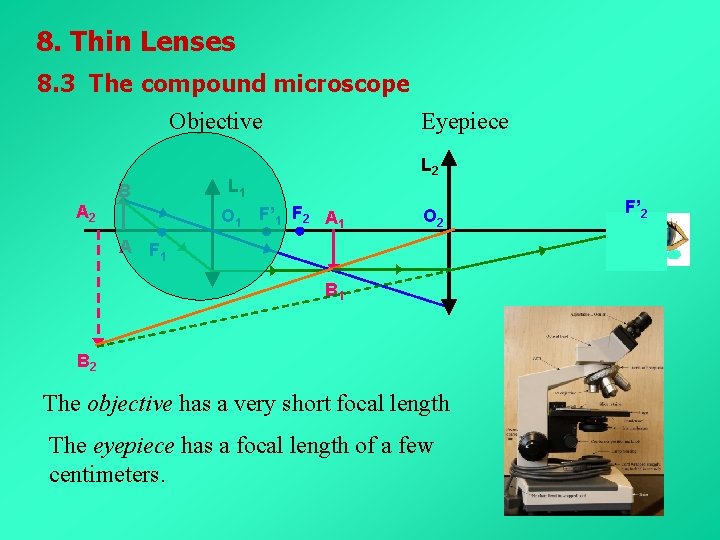 8. Thin Lenses 8. 3 The compound microscope Objective L 2 L 1 B