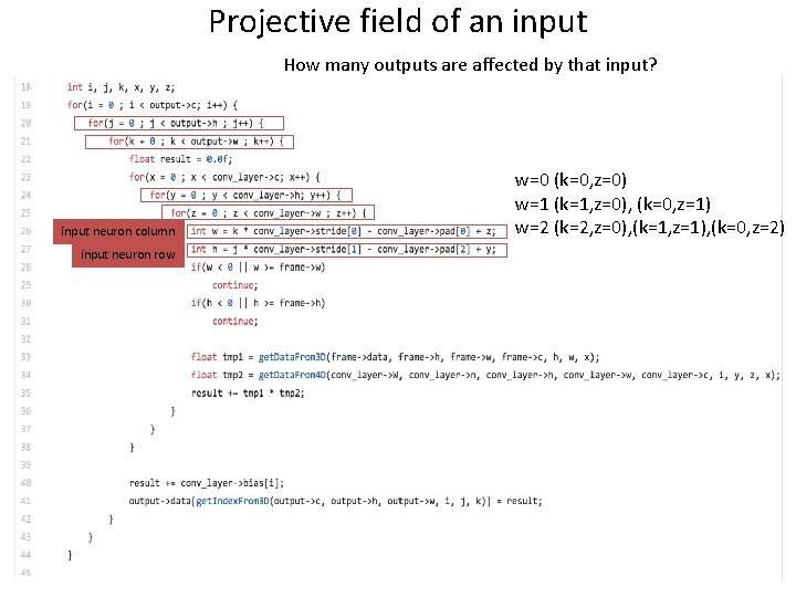 Projective field of an input How many outputs are affected by that input? input