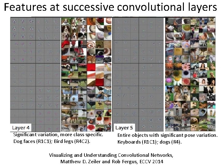 Features at successive convolutional layers Significant variation, more class specific. Dog faces (R 1