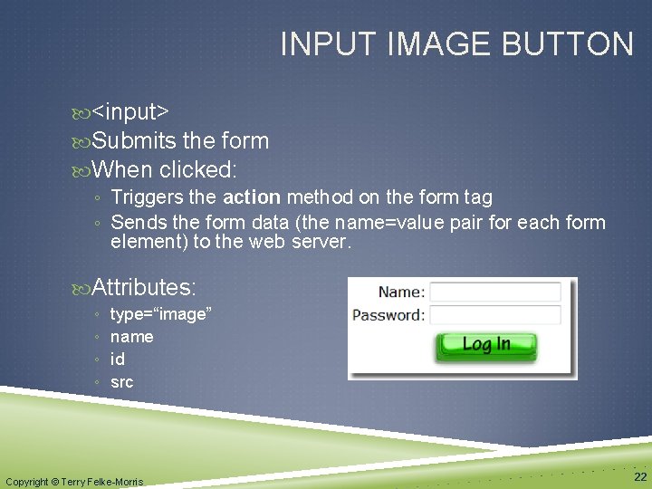 INPUT IMAGE BUTTON <input> Submits the form When clicked: ◦ Triggers the action method