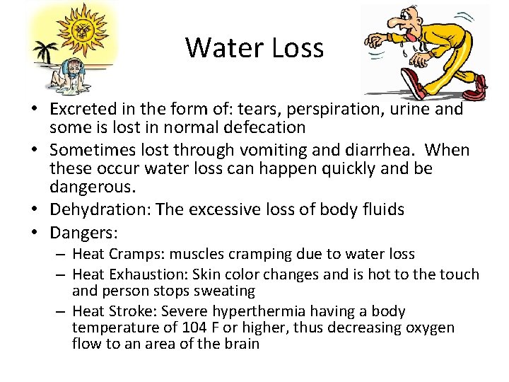Water Loss • Excreted in the form of: tears, perspiration, urine and some is