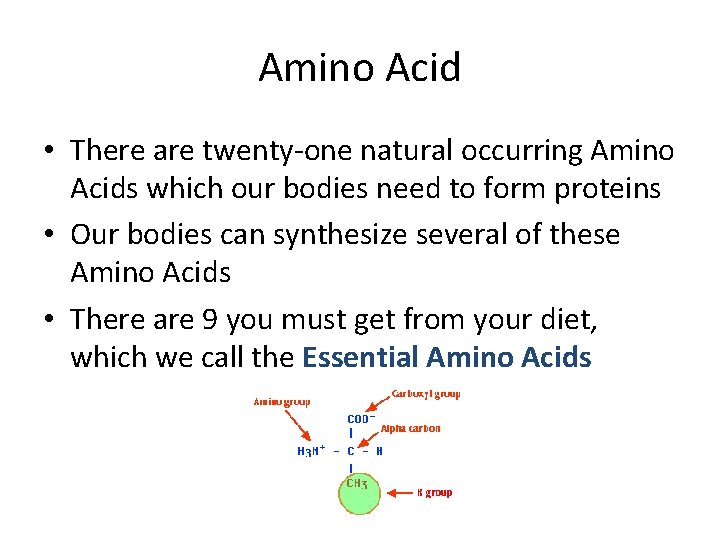 Amino Acid • There are twenty-one natural occurring Amino Acids which our bodies need