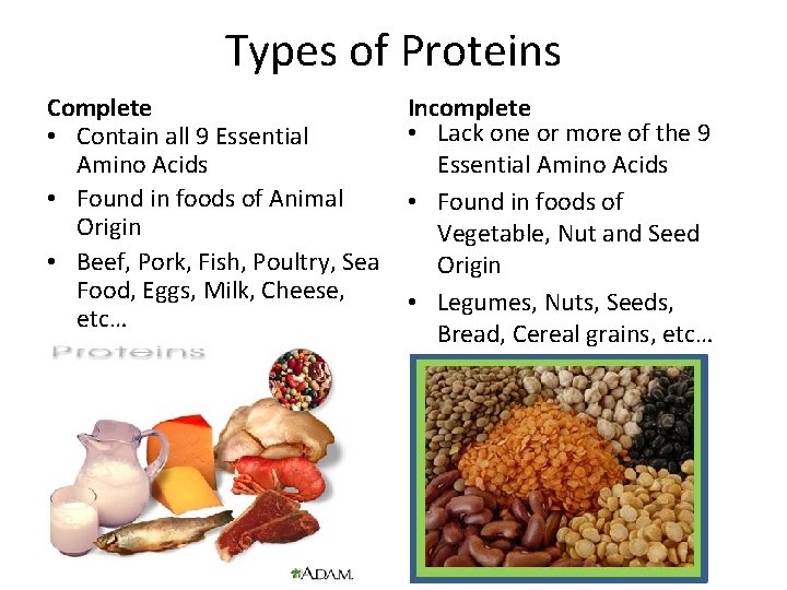 Types of Proteins Complete • Contain all 9 Essential Amino Acids • Found in