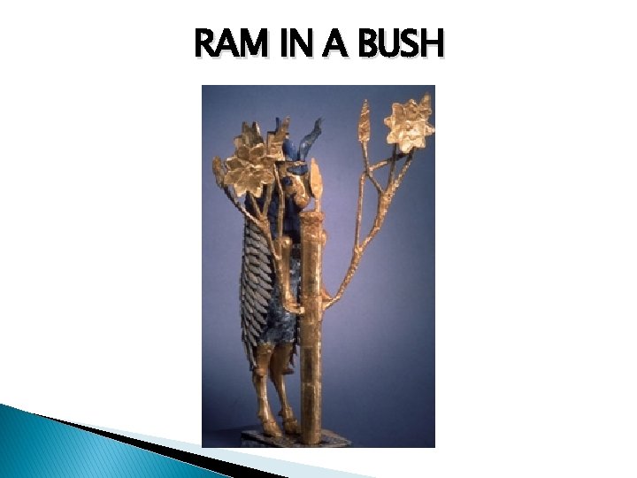 RAM IN A BUSH 