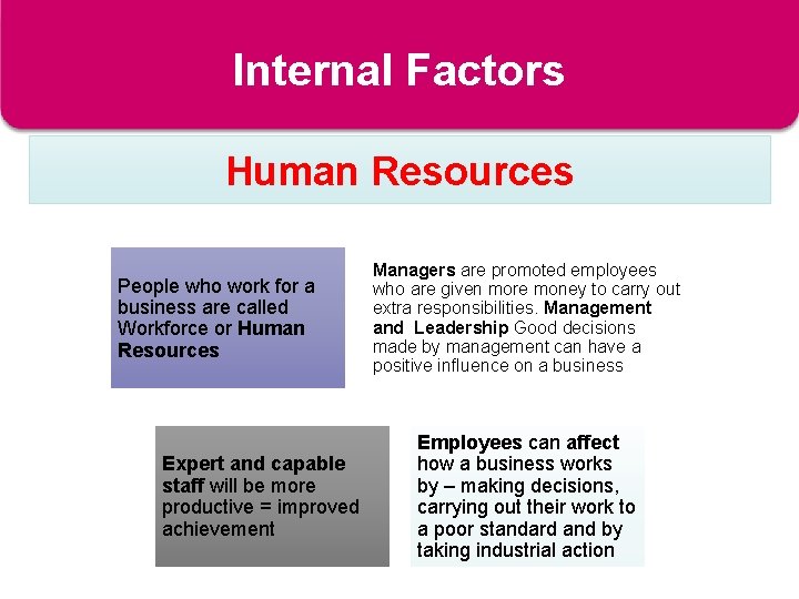 Internal Factors Human Resources People who work for a business are called Workforce or