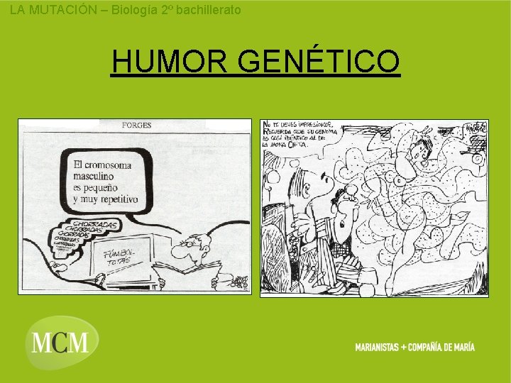 LA MUTACIÓN – Biología 2º bachillerato HUMOR GENÉTICO 