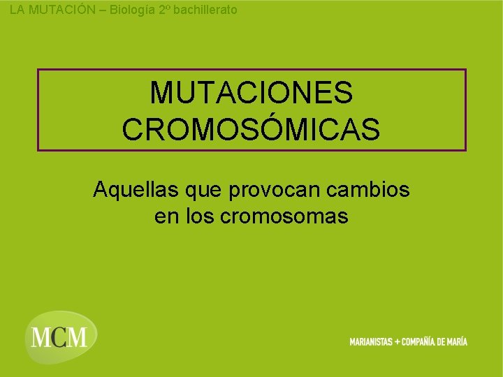 LA MUTACIÓN – Biología 2º bachillerato MUTACIONES CROMOSÓMICAS Aquellas que provocan cambios en los