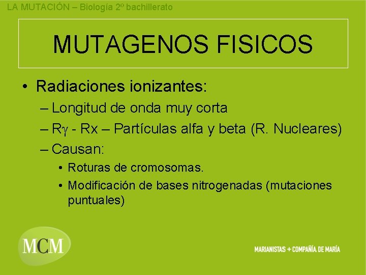 LA MUTACIÓN – Biología 2º bachillerato MUTAGENOS FISICOS • Radiaciones ionizantes: – Longitud de