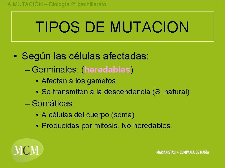 LA MUTACIÓN – Biología 2º bachillerato TIPOS DE MUTACION • Según las células afectadas: